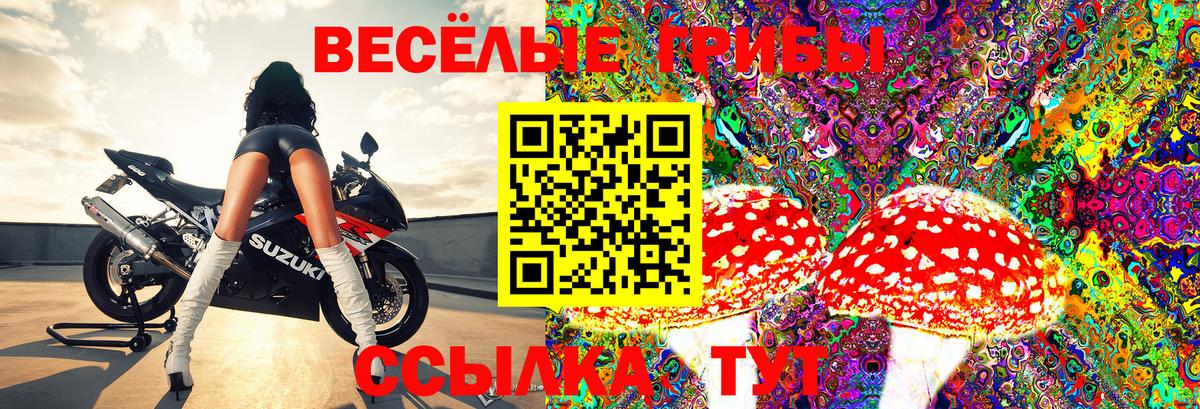 Галлюциногенные грибы мицелий Арсеньев