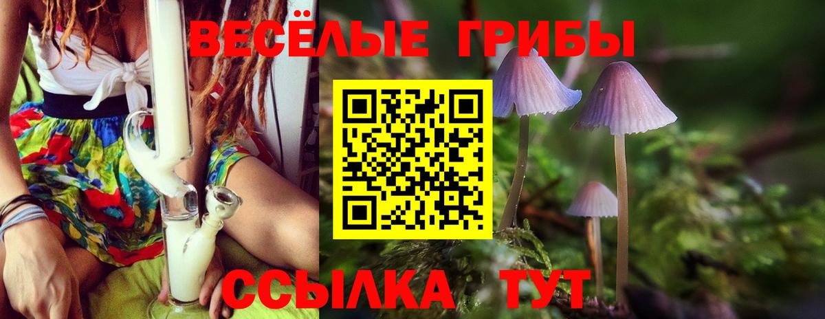 Псилоцибиновые грибы Psilocybe  продажа наркотиков  Арсеньев  Вход с VPN 